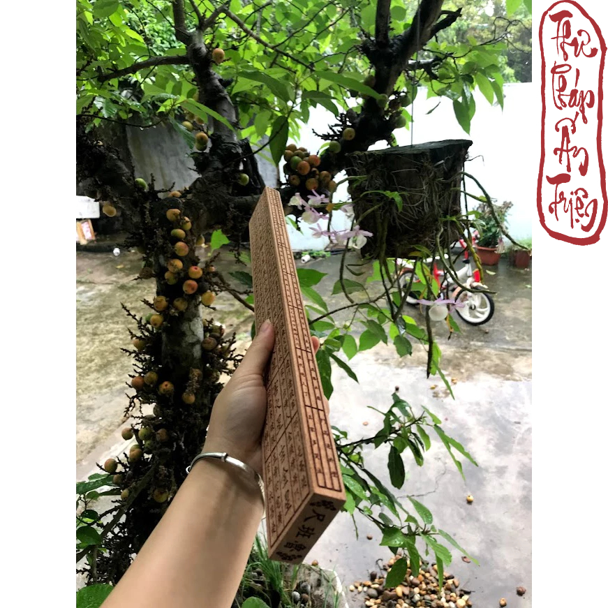 THƯỚC LỖ BAN PHONG THỦY GỖ ĐÀO 46CM HÁN TỰ - Hình ảnh 2