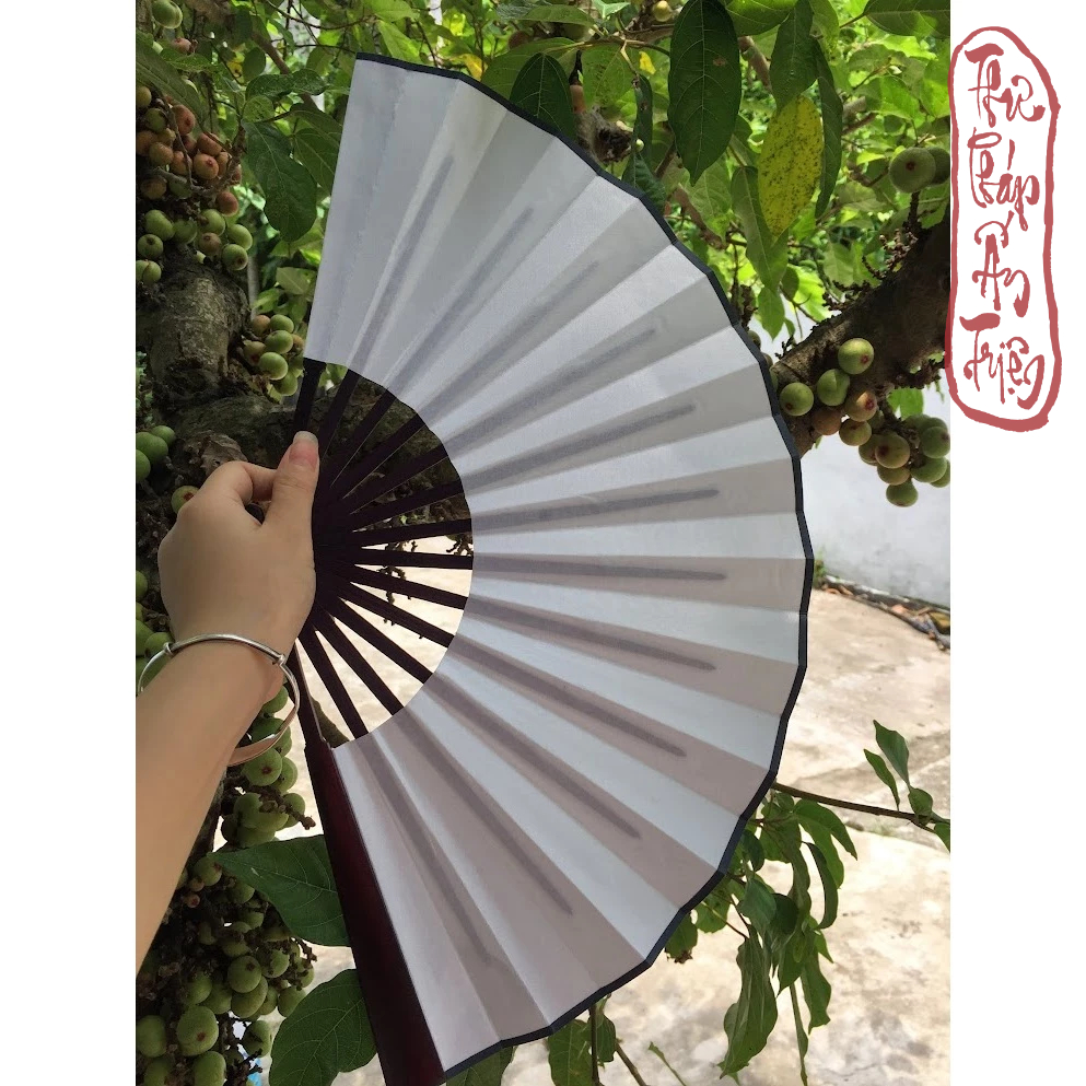 QUẠT XẾP VIẾT CHỮ THƯ PHÁP PHONG CÁCH CỔ TRANG - Hình ảnh 8