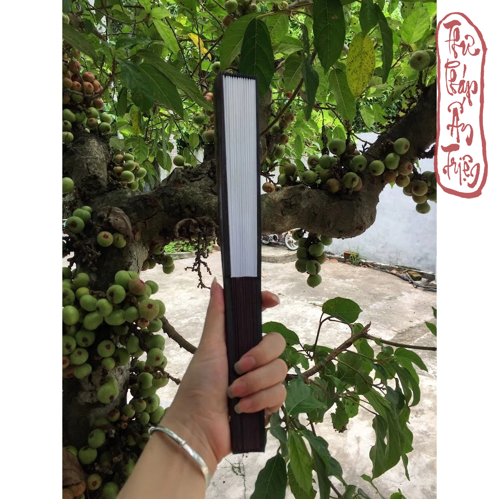 QUẠT XẾP VIẾT CHỮ THƯ PHÁP PHONG CÁCH CỔ TRANG - Hình ảnh 6