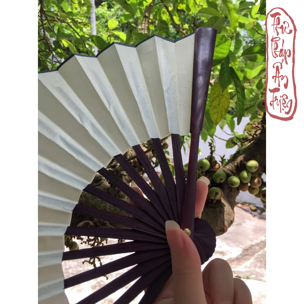 QUẠT XẾP VIẾT CHỮ THƯ PHÁP PHONG CÁCH CỔ TRANG - Hình ảnh 5