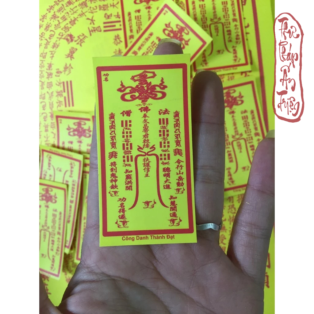 100 LÁ CẦU TÀI, HỘ MỆNH, THÁI TUẾ, XE BÌNH AN CỠ NHỎ CÁC LOẠI CÓ ÉP VÀ KHÔNG ÉP PLASTIC - Hình ảnh 4