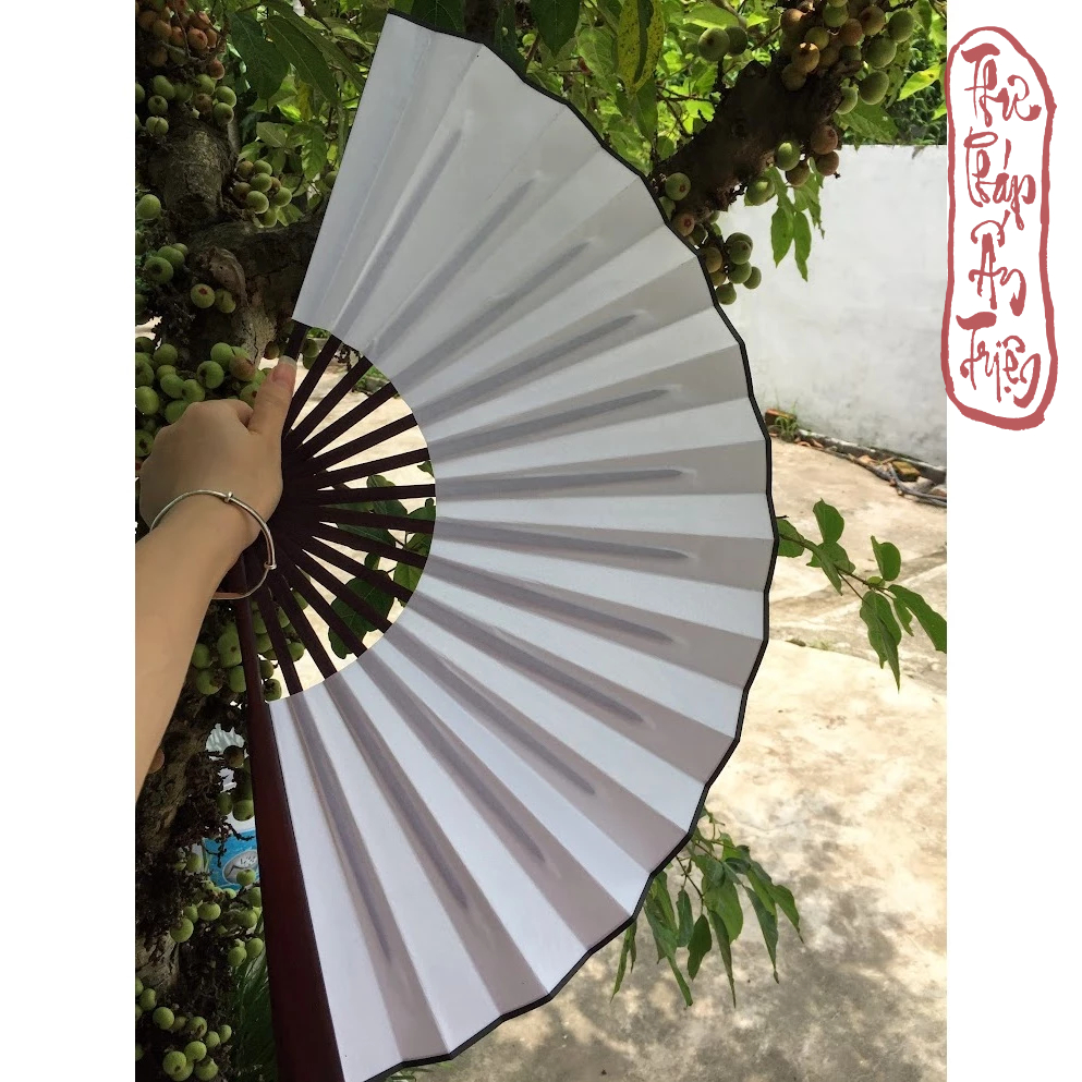 QUẠT XẾP VIẾT CHỮ THƯ PHÁP PHONG CÁCH CỔ TRANG - Hình ảnh 7