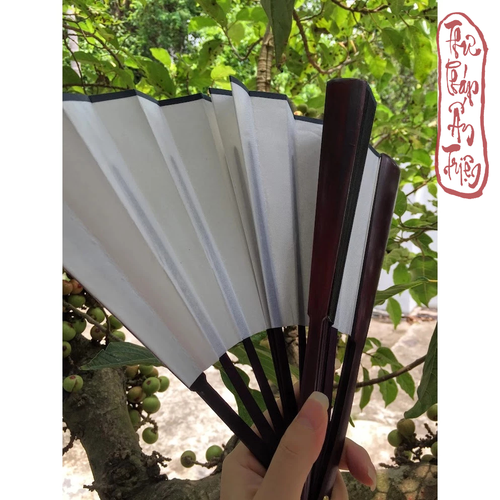 QUẠT XẾP VIẾT CHỮ THƯ PHÁP PHONG CÁCH CỔ TRANG - Hình ảnh 9