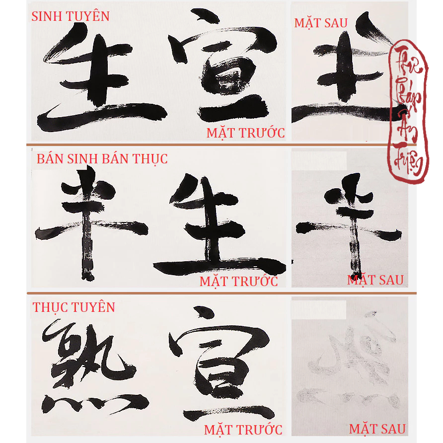 Ảnh so sánh chữ viết ở mặt trước và mặt sau ba mẫu giấy được ghi sinh tuyên, bán sinh bán thục và thục tuyên